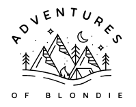 The Adventures Of Blondie